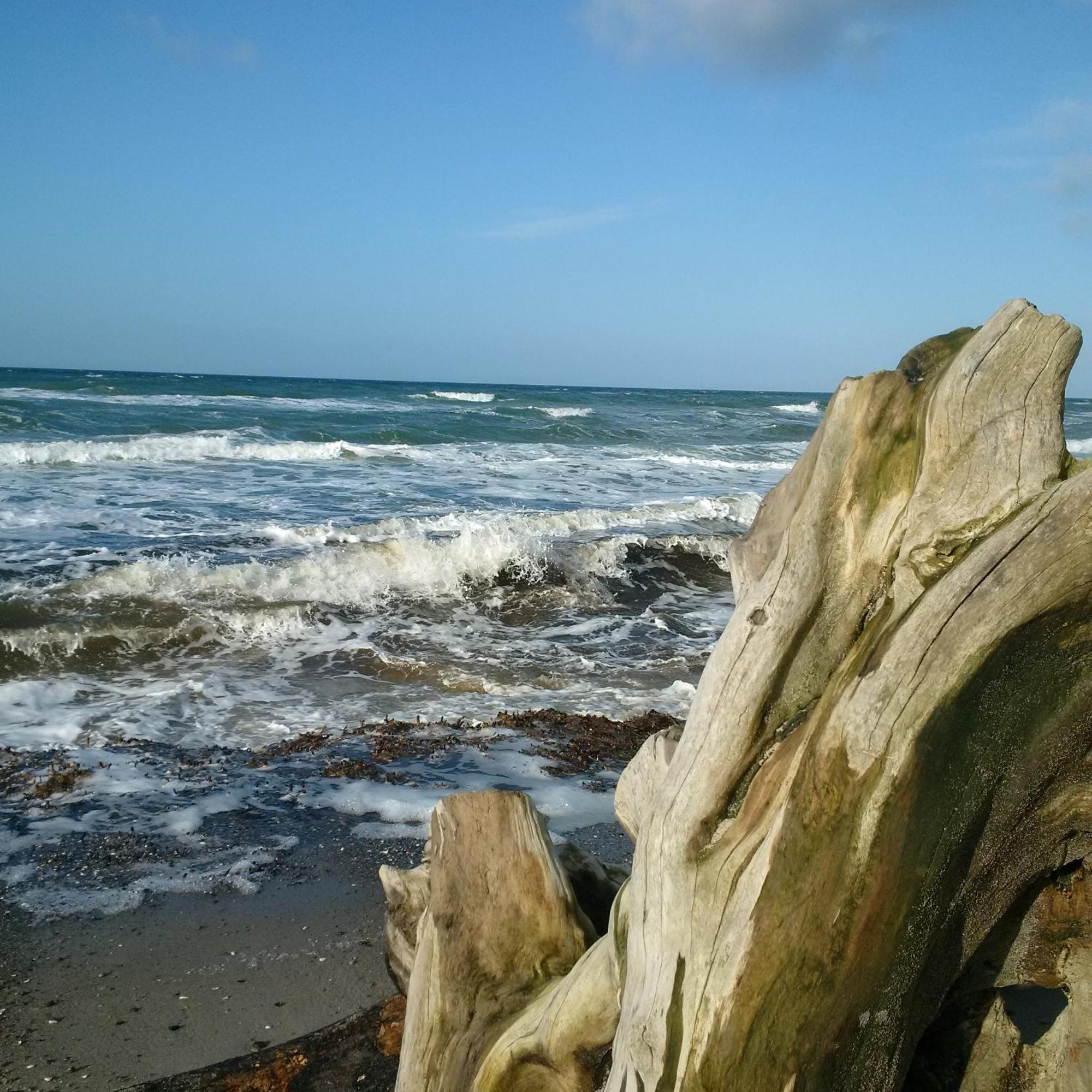 Duene-9 In Dierhagen-Strand Szoba fotó